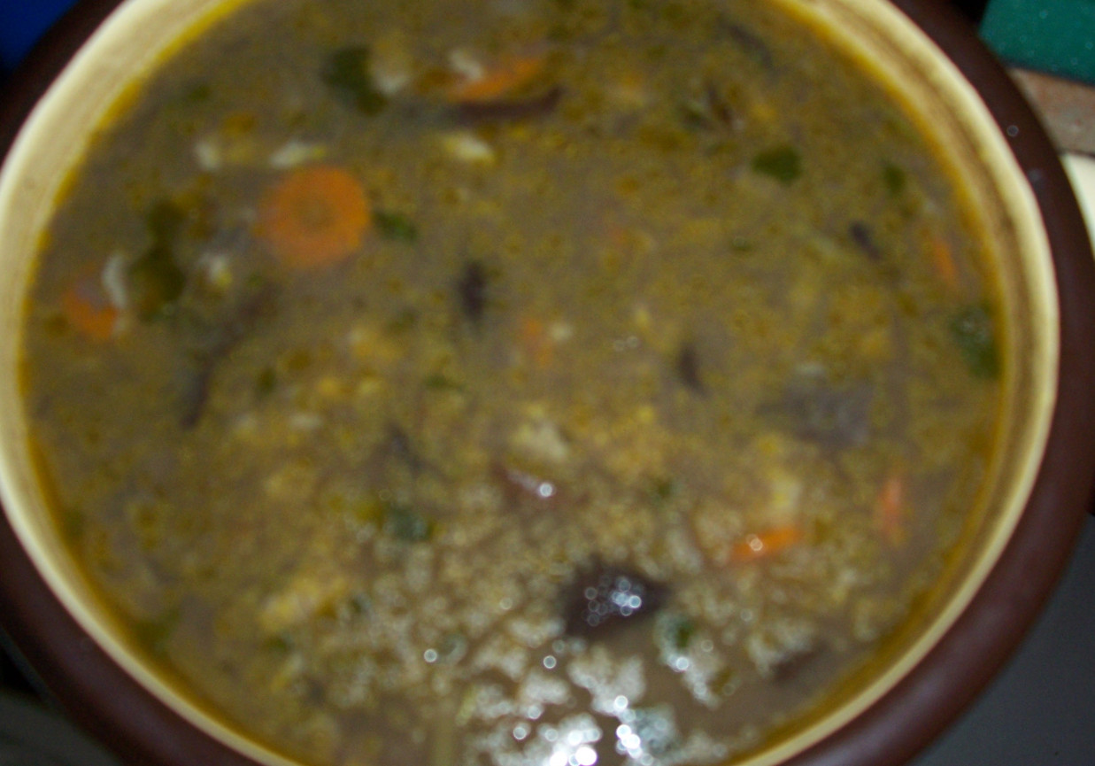zupa grzybowa z prawdziwków foto