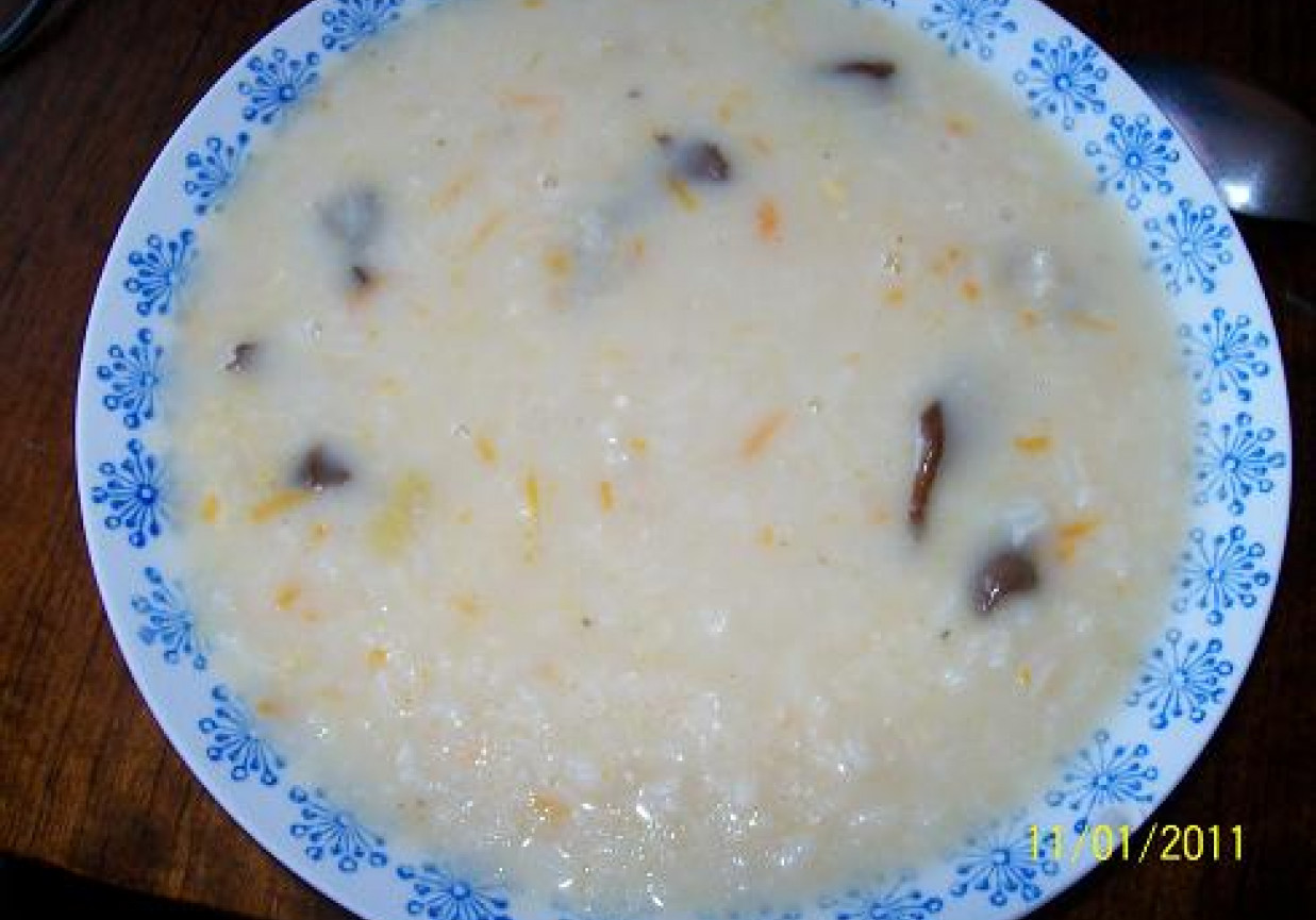Zupa grzybowa z ryĹĽem foto