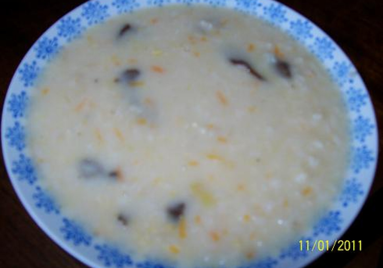 Zupa grzybowa z ryĹĽem foto
