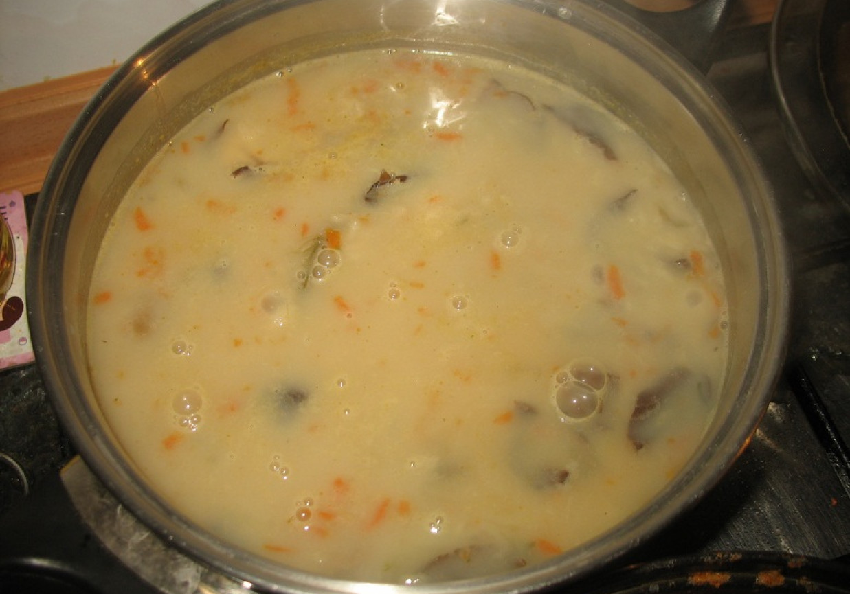 Zupa grzybowa z ryżem foto