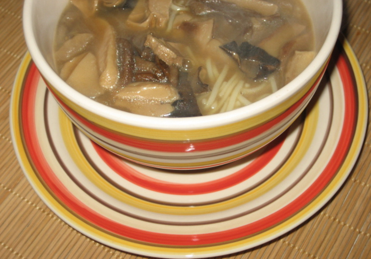 Zupa grzybowa z suszonych grzybów foto