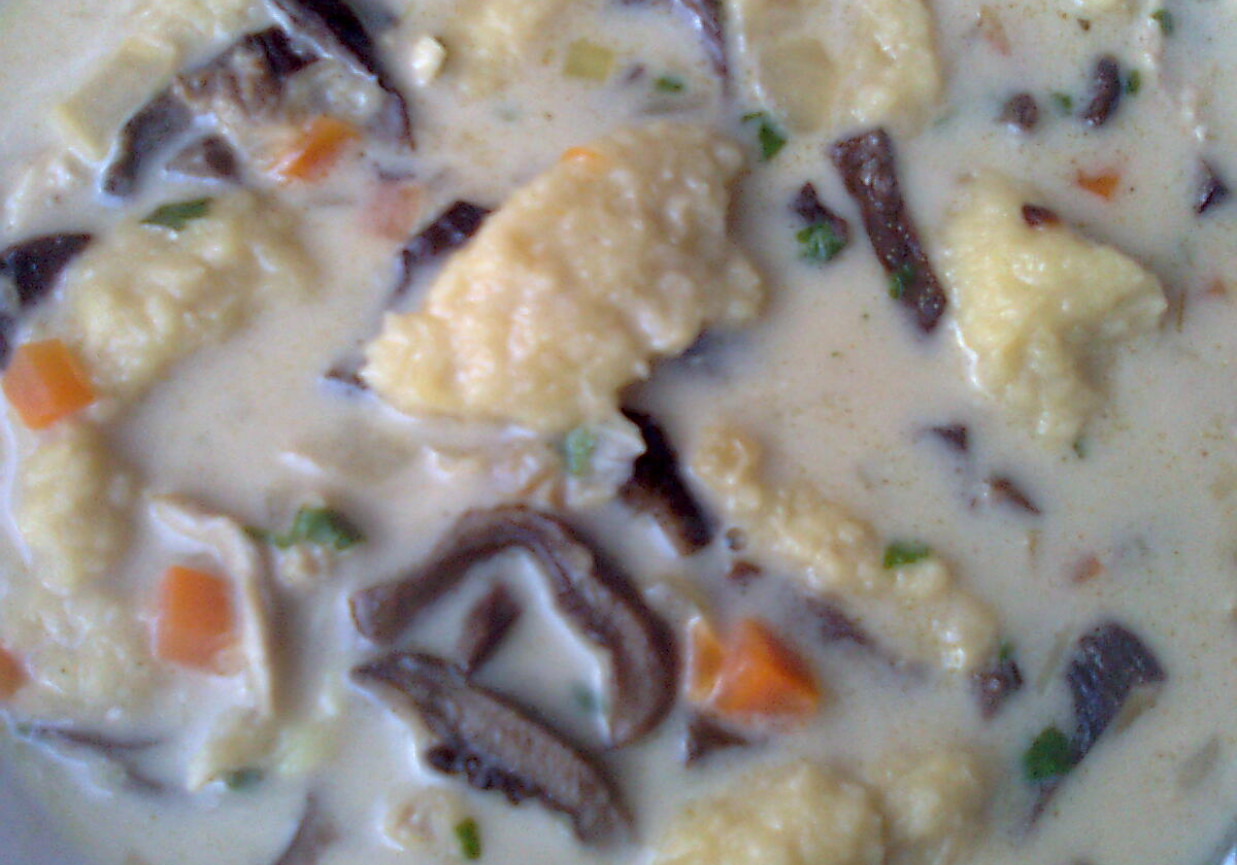 Zupa grzybowa z ziemniaczanymi kluchami foto