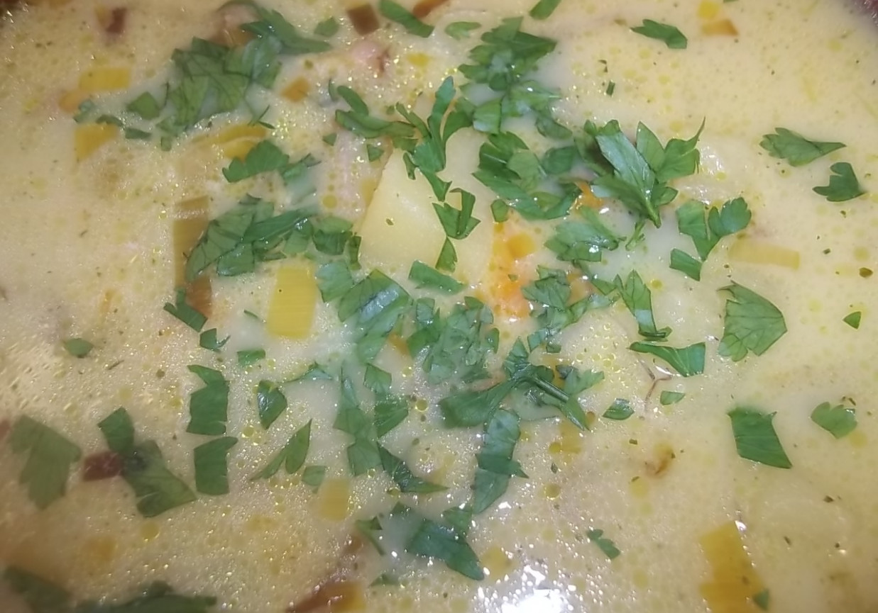 Zupa grzybowa z ziemniakami foto