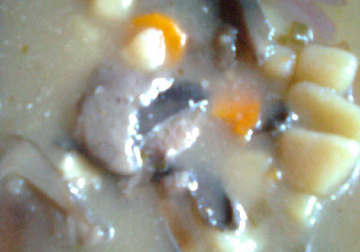 zupa grzybowa z ziemniakami foto
