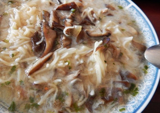 Fotografia przedstawiająca Zupa grzybowa zabielana z makaronem