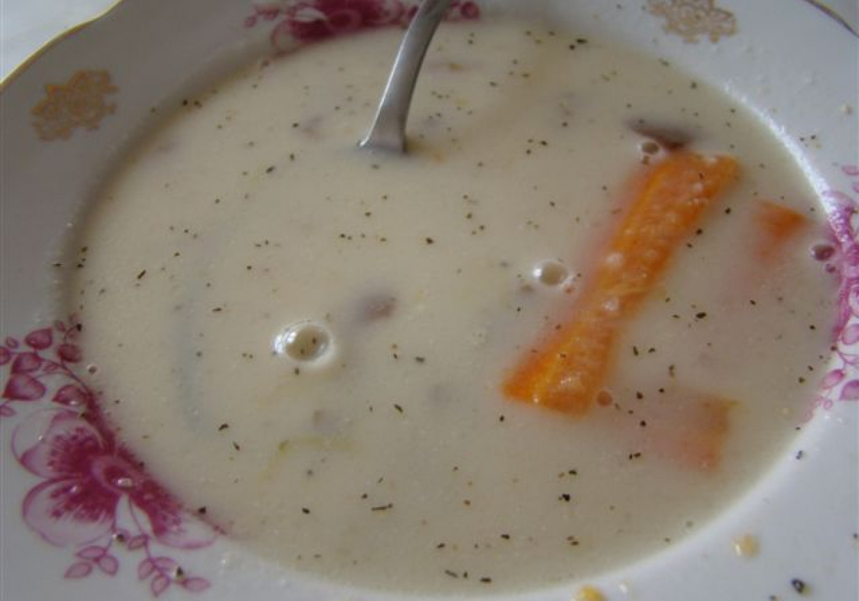 zupa grzybowa ze śmietaną foto