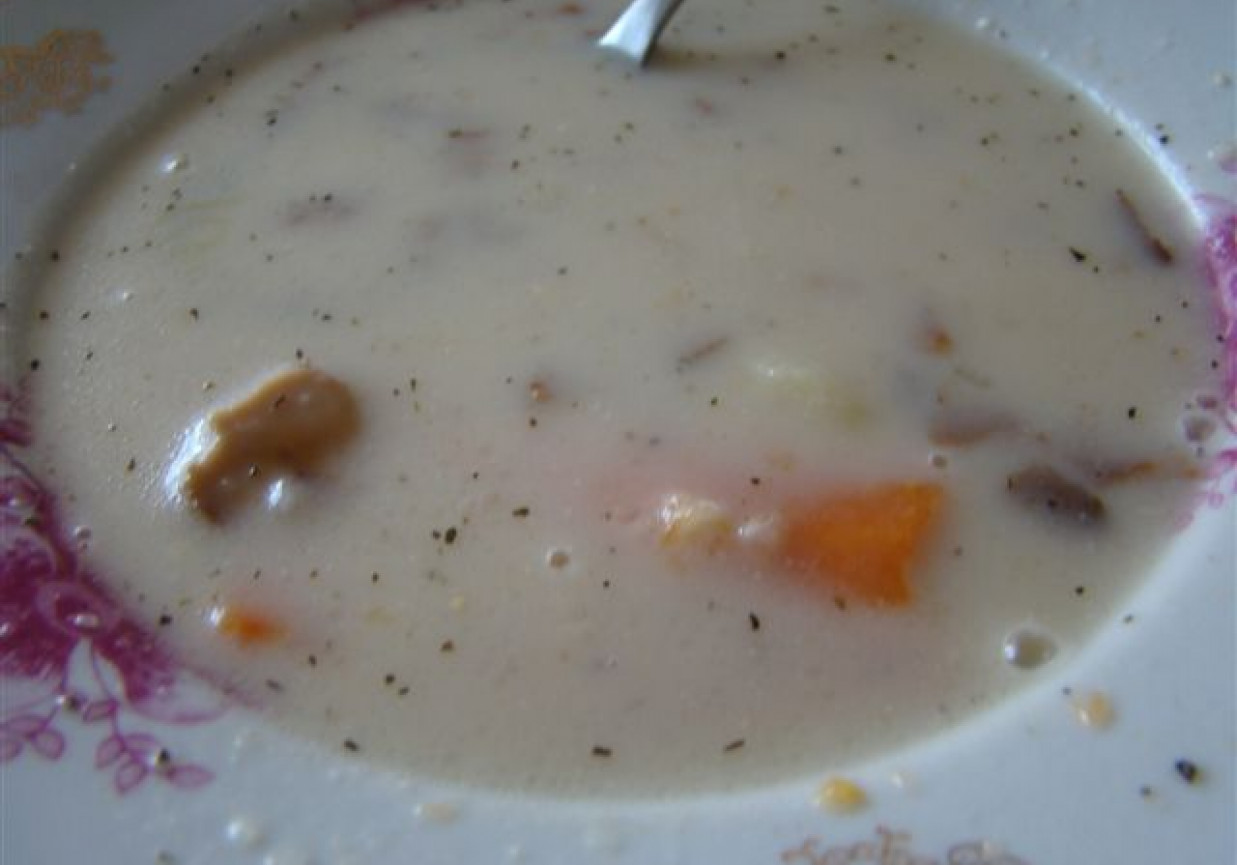 zupa grzybowa ze śmietaną foto