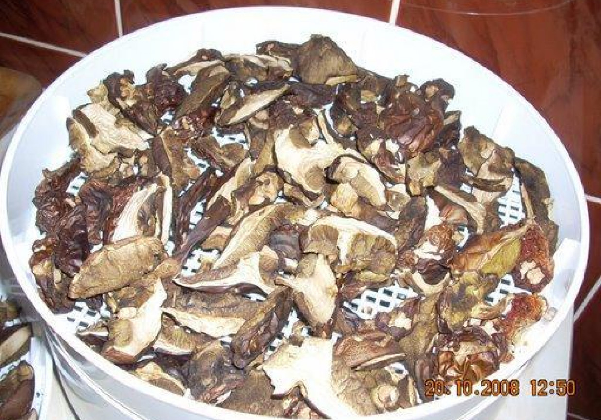 Zupa grzybowa ze stokrotkami foto