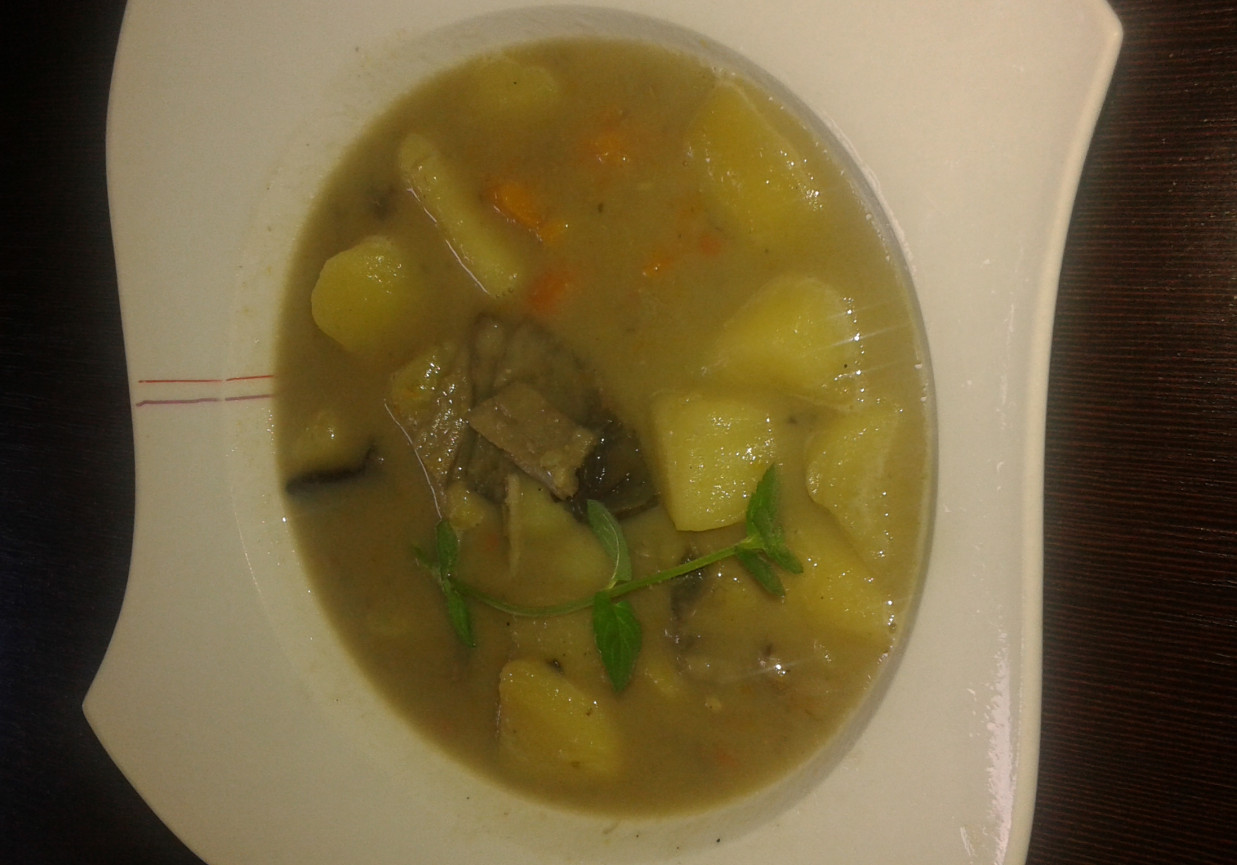 Zupa grzybowa. foto
