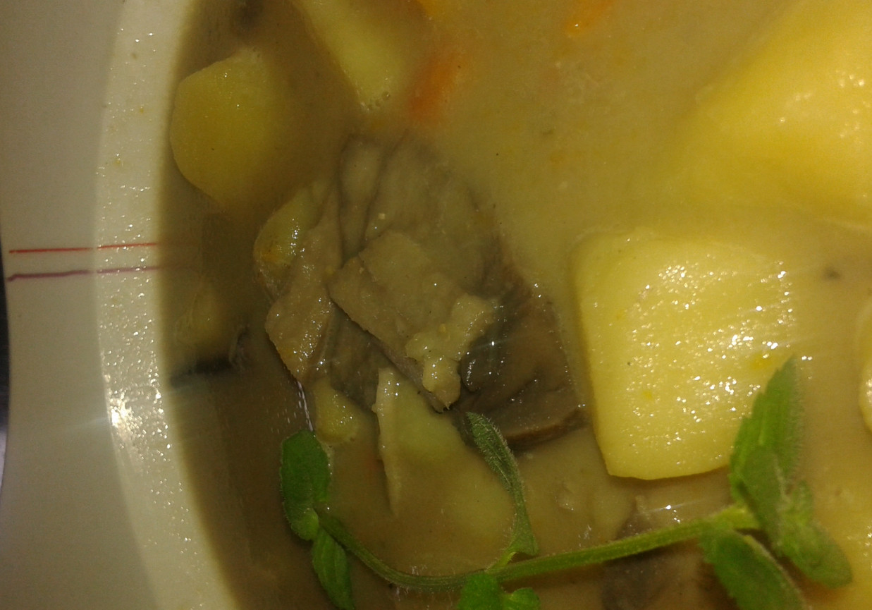 Zupa grzybowa. foto