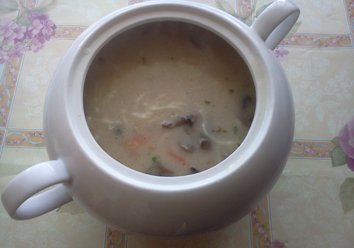 zupa grzybowa foto