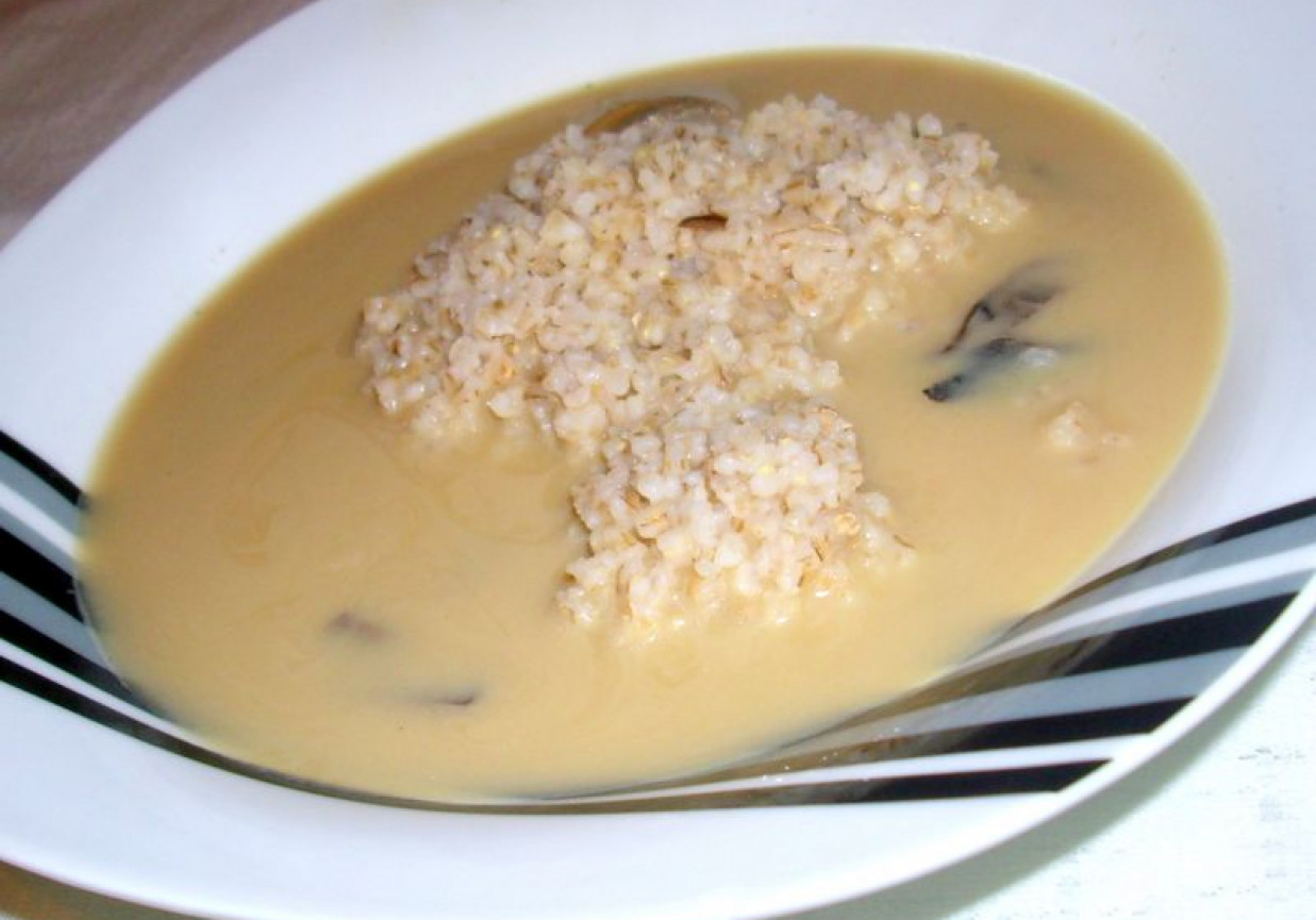 Zupa Grzybowa foto