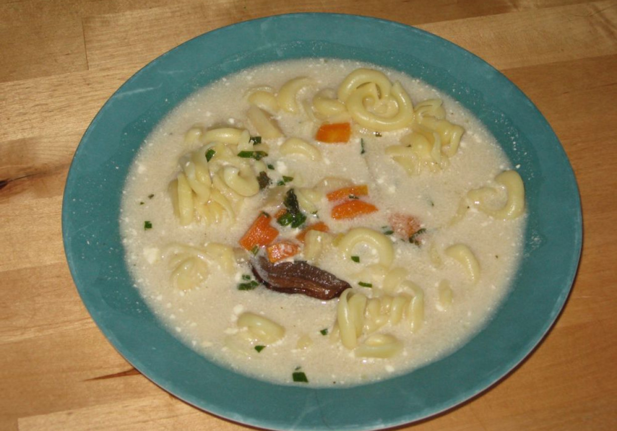 Zupa grzybowa foto