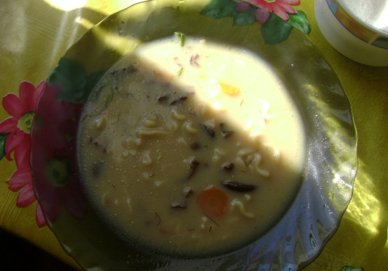 zupa grzybowa foto