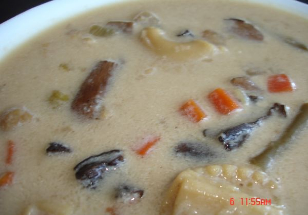 Zupa grzybowa foto