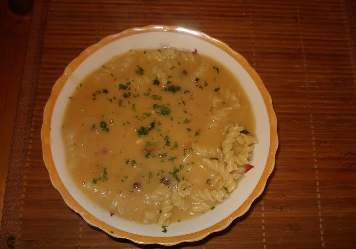 Zupa grzybowo- serowa foto
