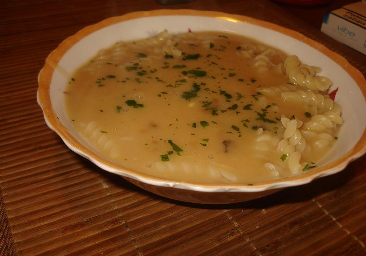 Zupa grzybowo- serowa foto