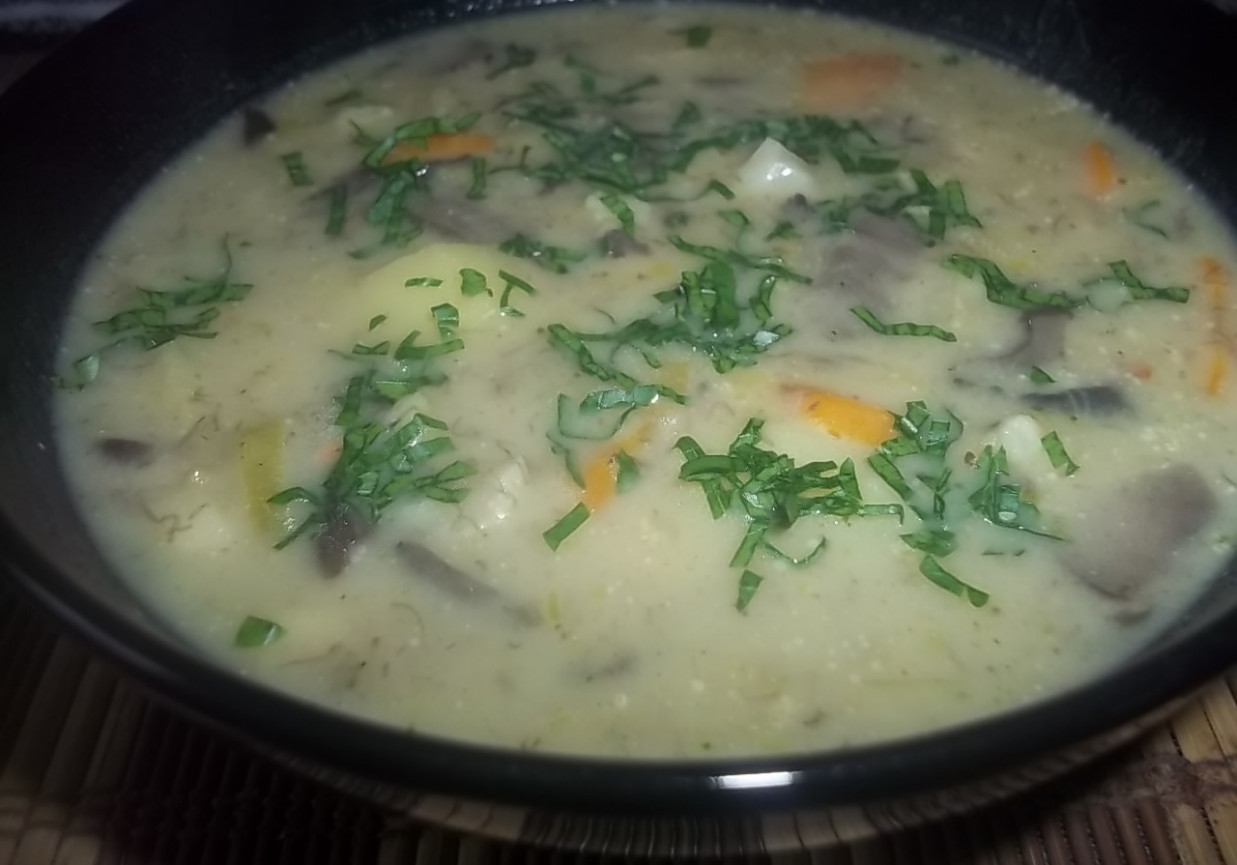 Zupa grzybowo-jarzynowa foto