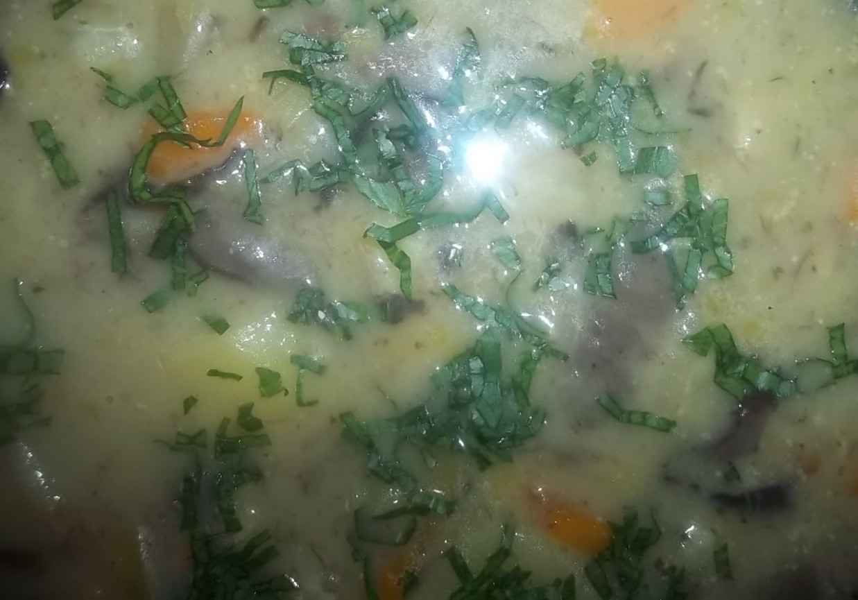 Zupa grzybowo-jarzynowa foto