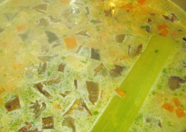 Fotografia przedstawiająca Zupa grzybowo-warzywna