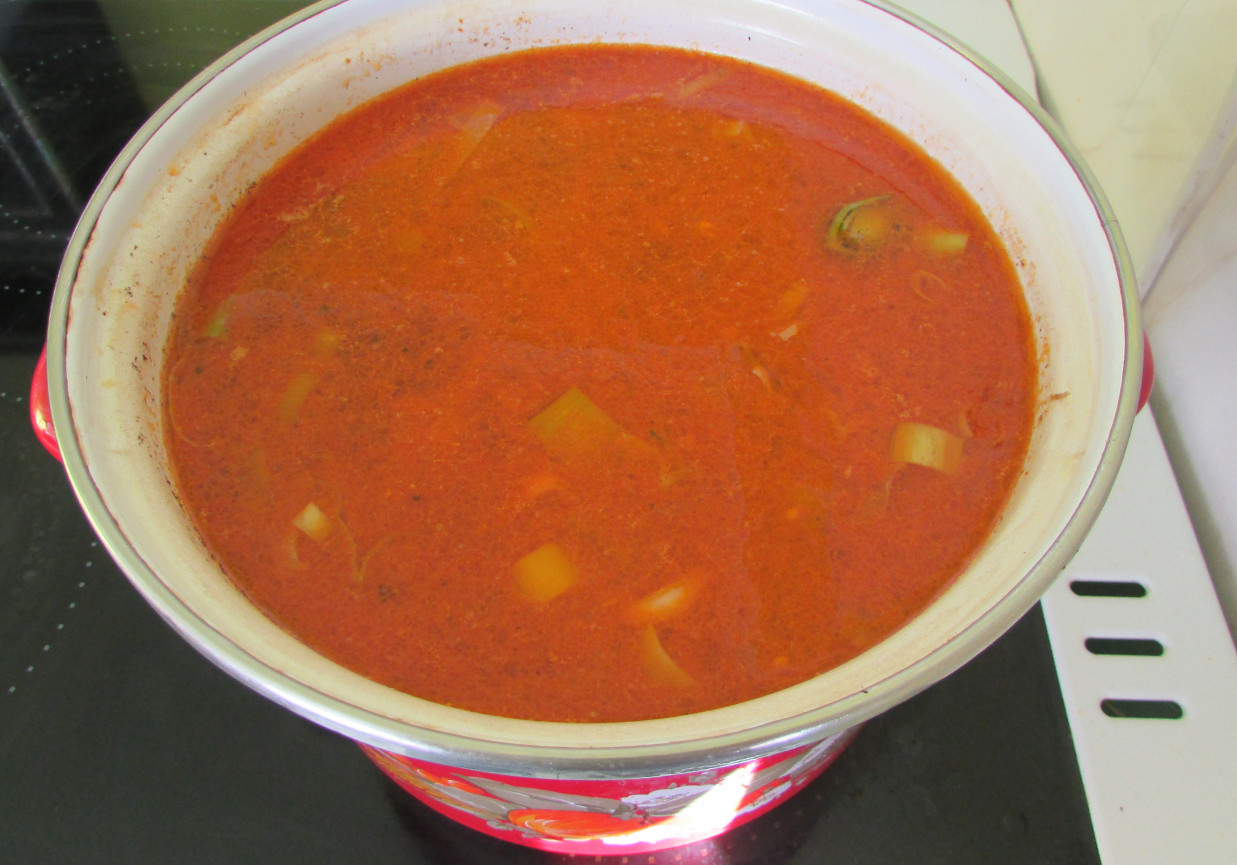 zupa gulaszowa hanbesa foto