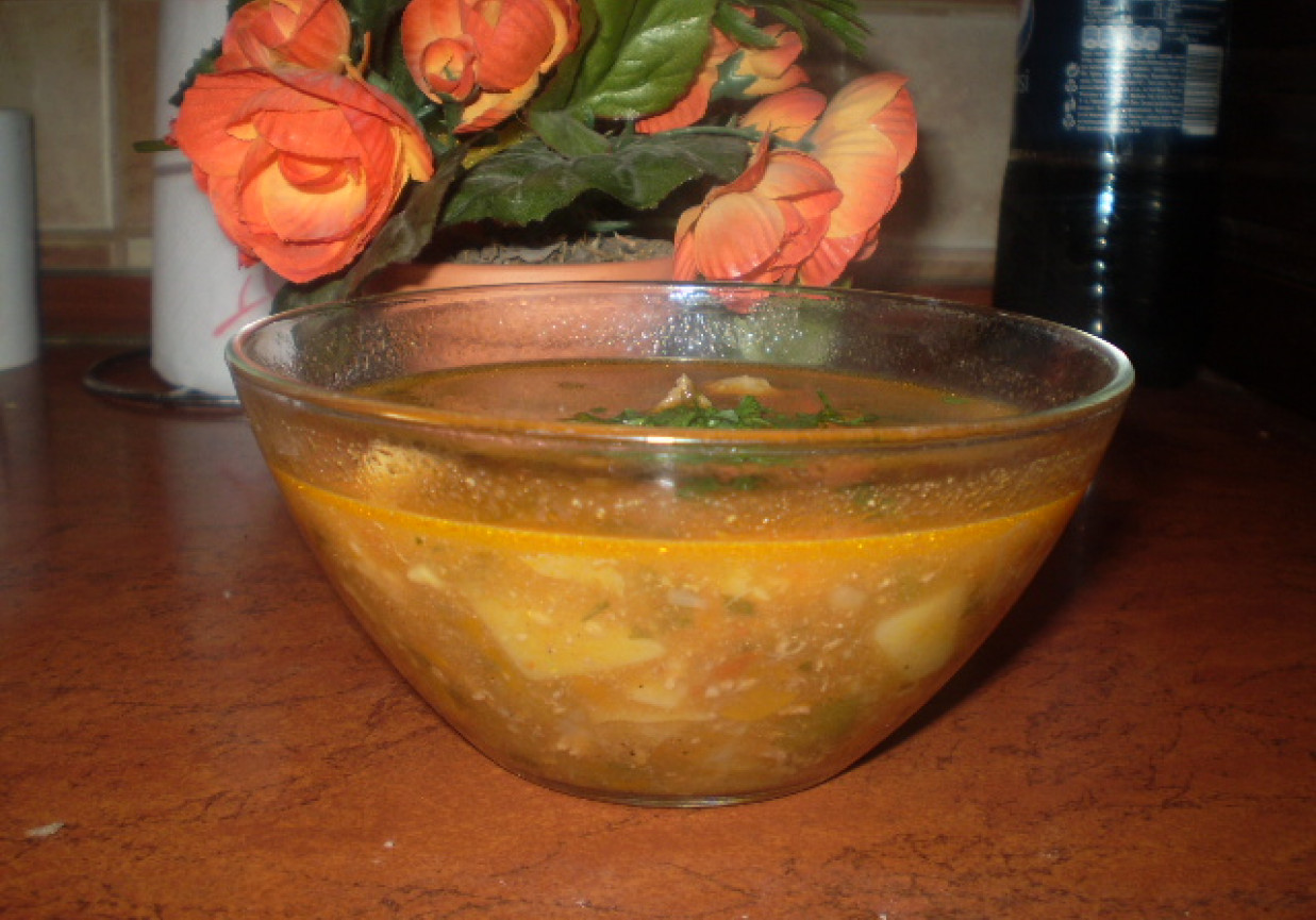 Zupa gulaszowa (moja wersja) foto