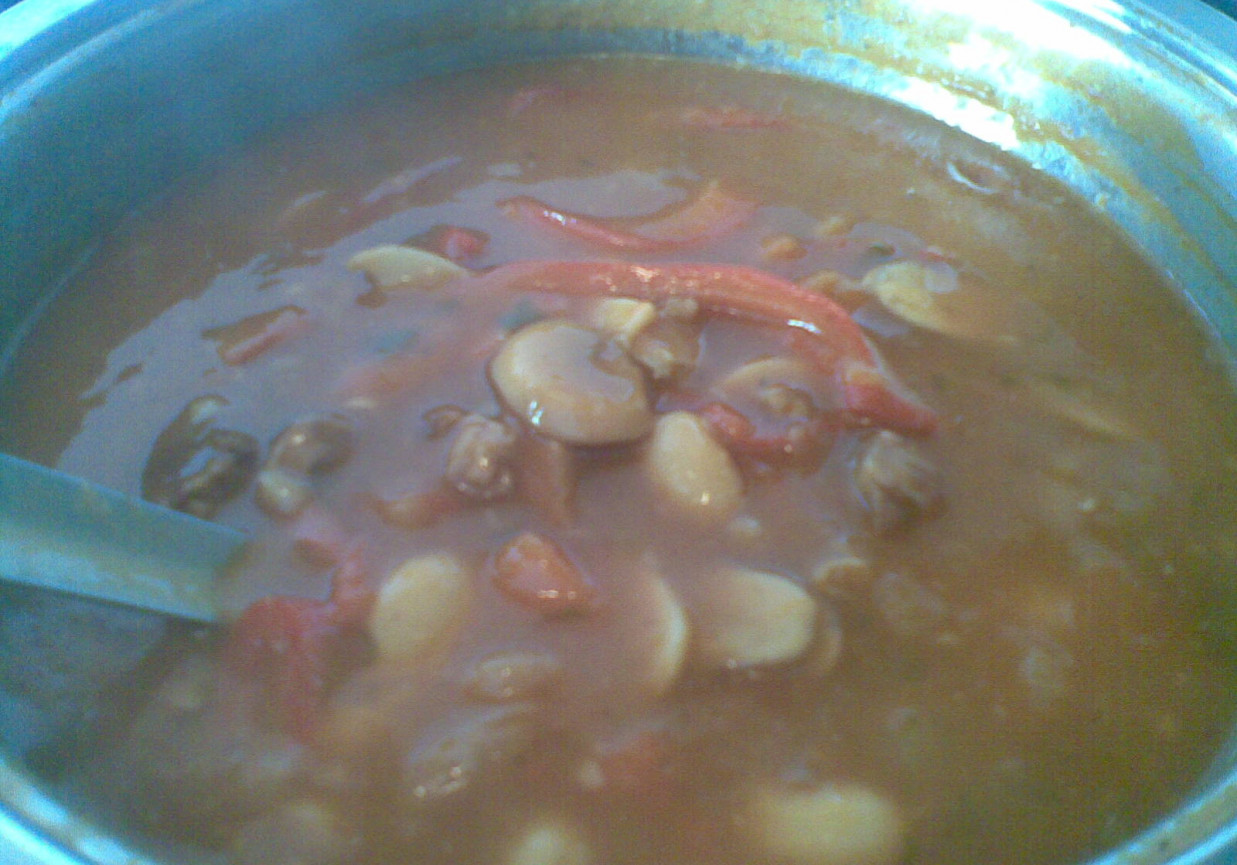 zupa gulaszowa z białą fasolą foto