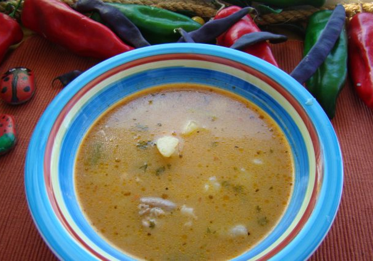 Zupa gulaszowa z fasolą foto