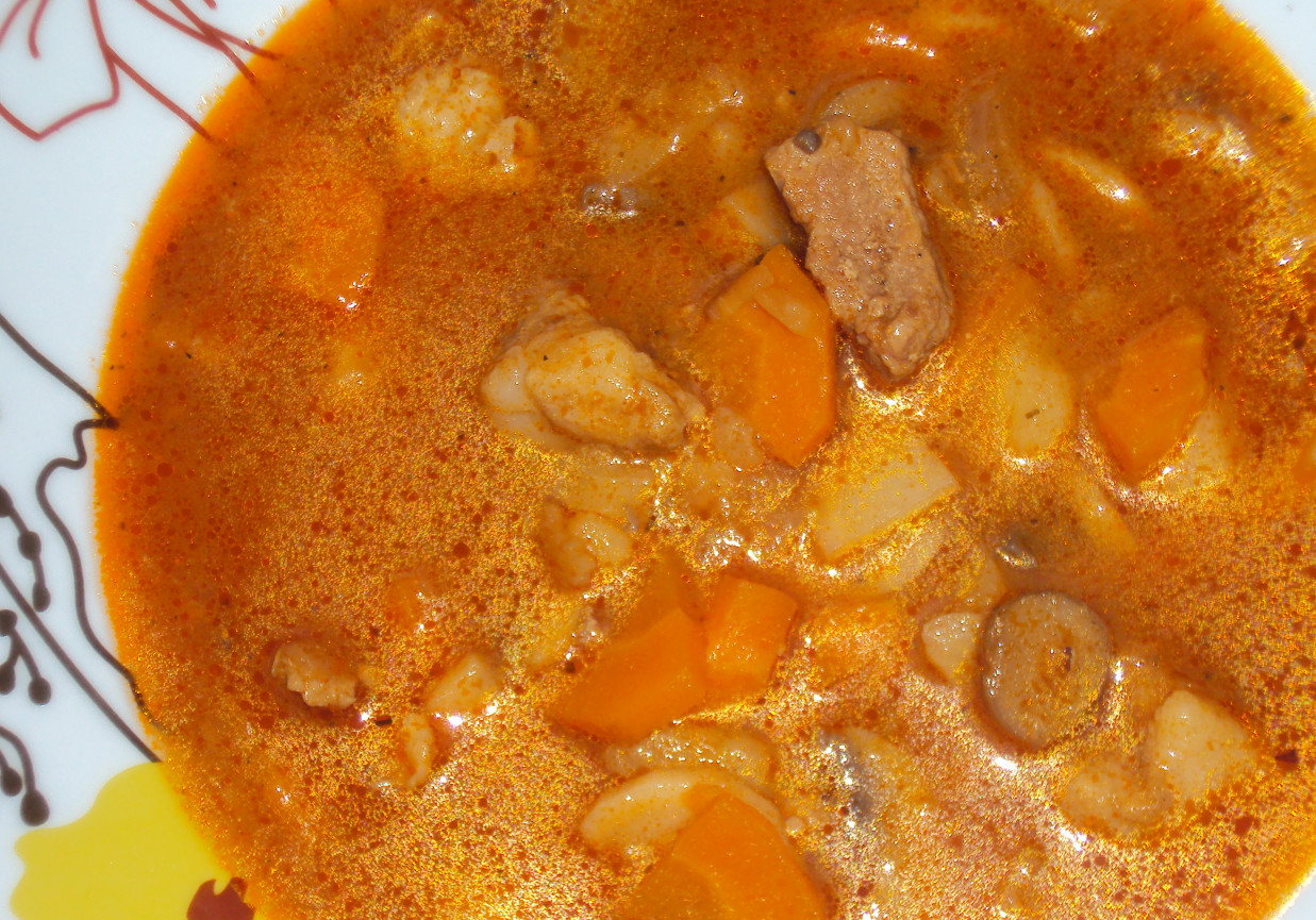 Zupa gulaszowa z fasolką szparagową  foto