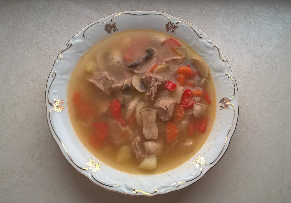 Zupa gulaszowa z pieczarkami i warzywami foto