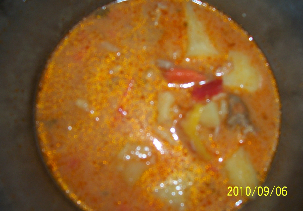 zupa gulaszowa foto