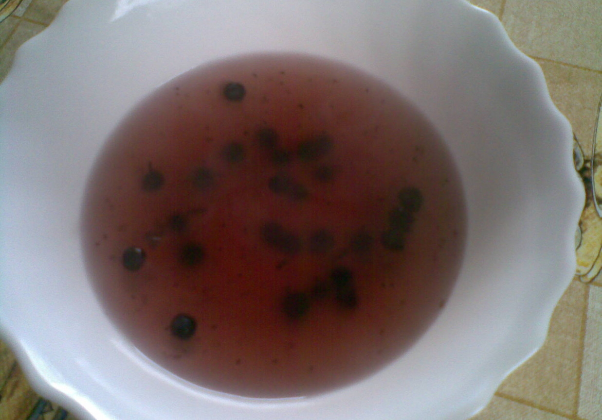 zupa jagodowa foto