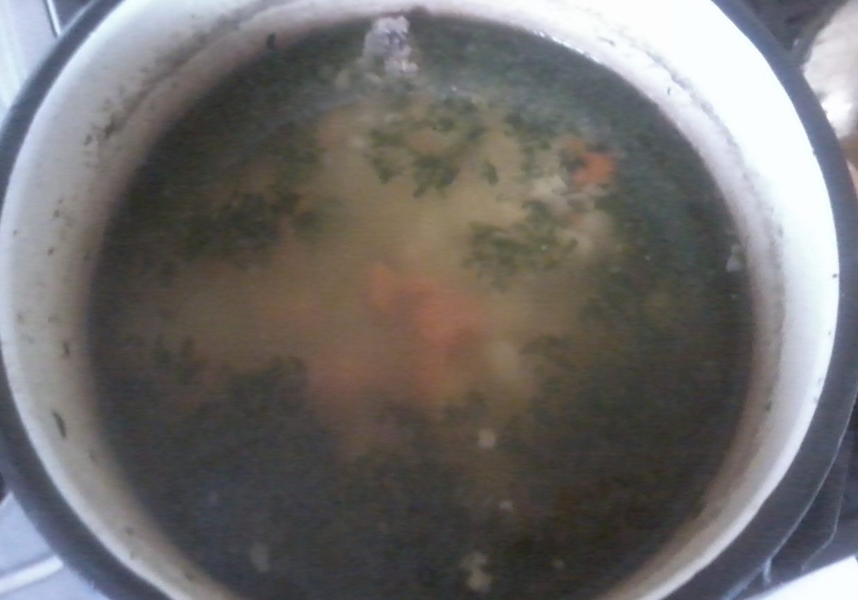 Zupa jarzynowa dla niemowląt foto