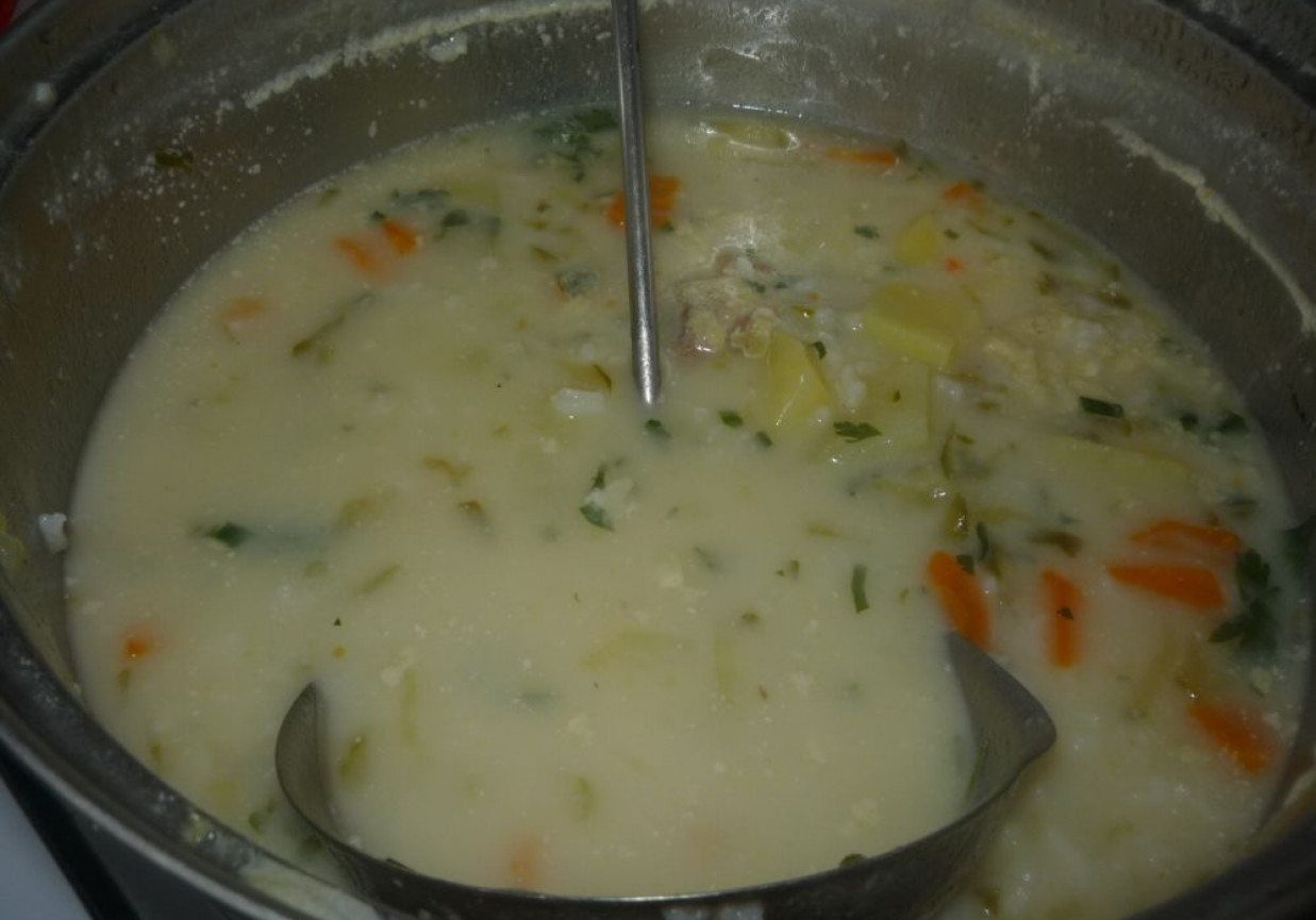 Zupa jarzynowa II foto