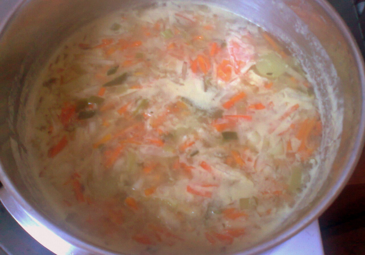 zupa jarzynowa wiosenna wg Joli foto