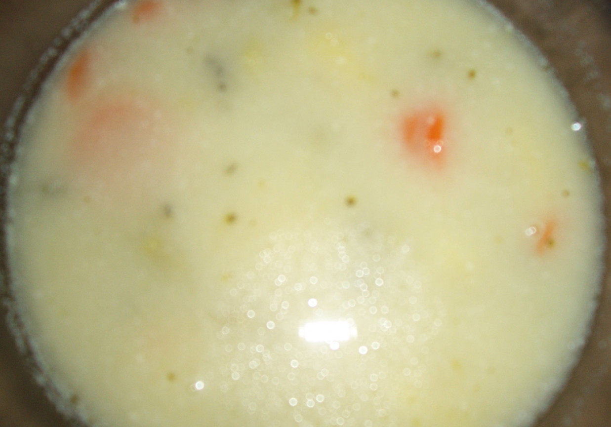 zupa jarzynowa z kluseczkami foto
