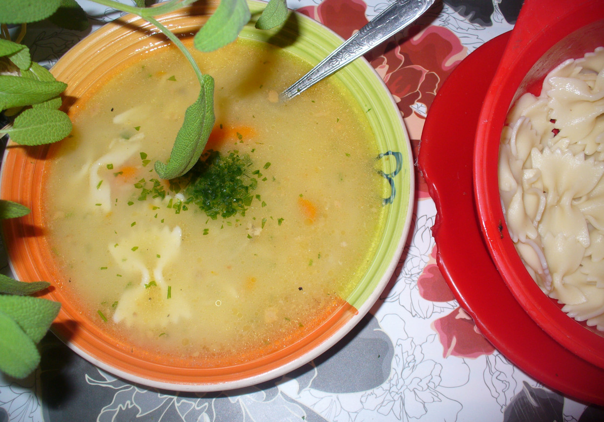 Zupa jarzynowa  z makaronem  foto