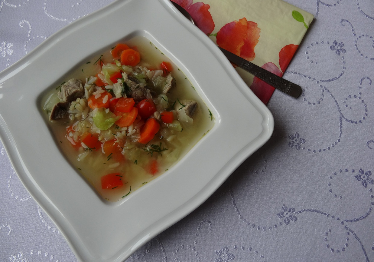 Zupa jarzynowa z mięsem i ryżem foto