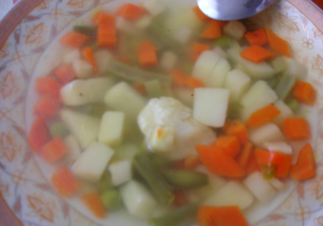 Zupa jarzynowa z mrożonych warzyw. foto