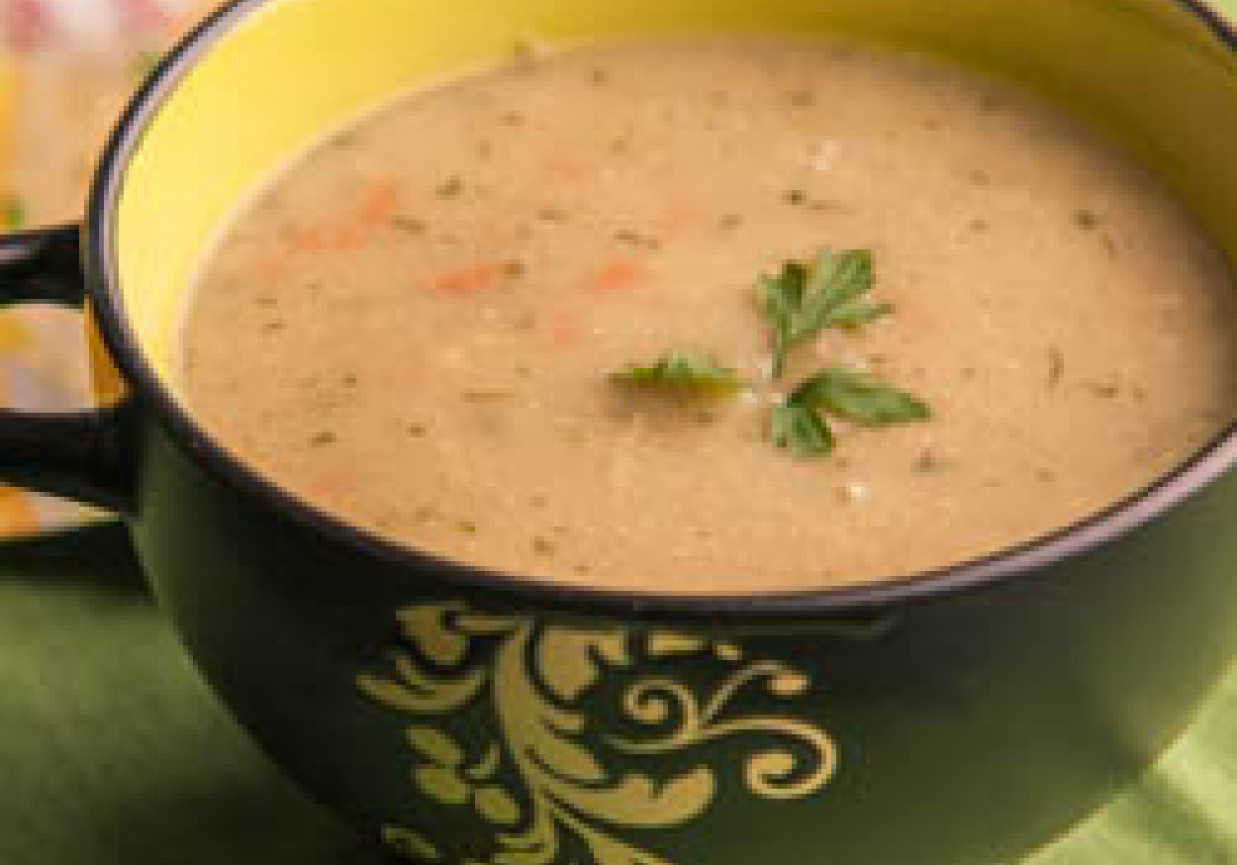Zupa jarzynowa z puree kalafiorowym foto