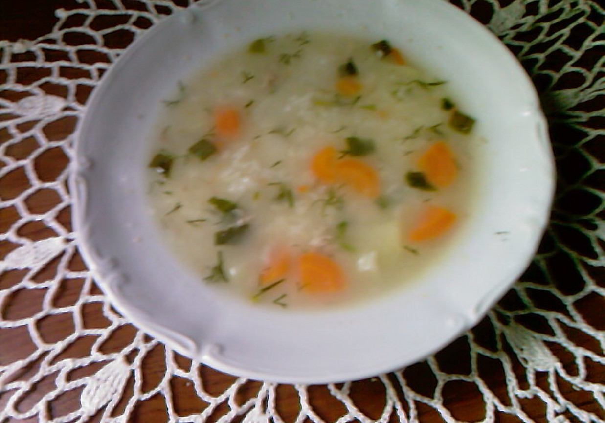 Zupa jarzynowa z ryżem i babką foto
