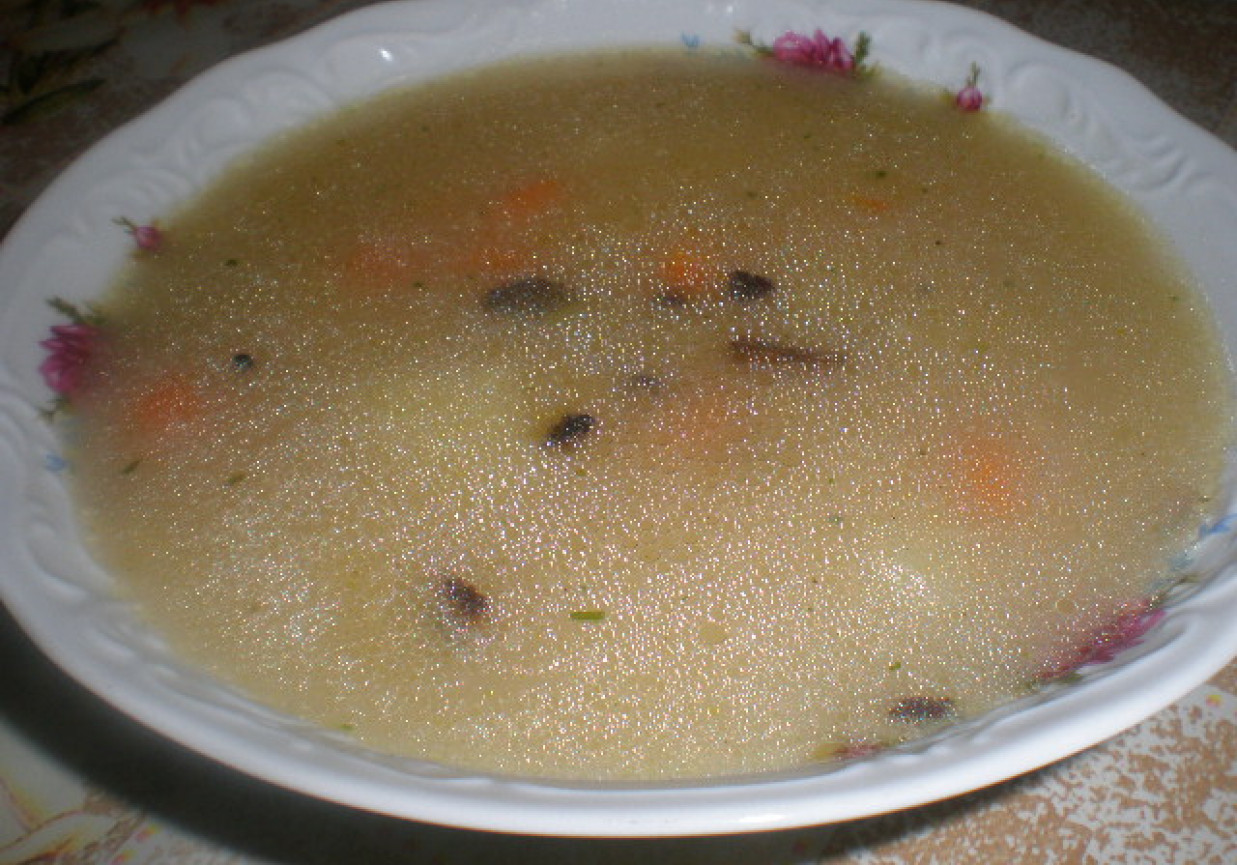 Zupa jarzynowa z suszonymi borowikami foto