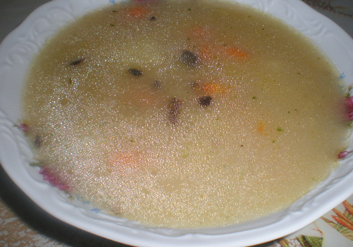 Zupa jarzynowa z suszonymi borowikami foto