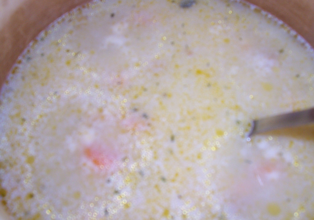zupa jarzynowa-Minestra foto