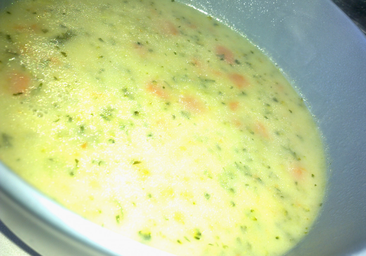 Zupa jarzynowo- serowa foto