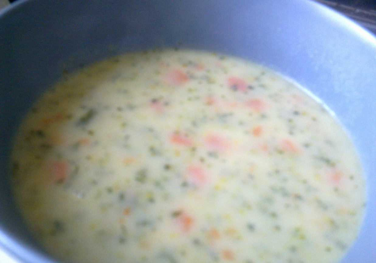 Zupa jarzynowo- serowa foto