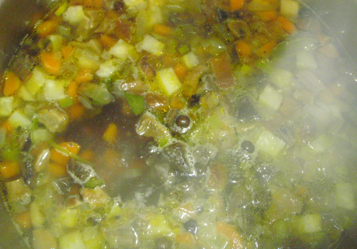 Zupa jarzynowo-grzybowa z owocem jałowca foto