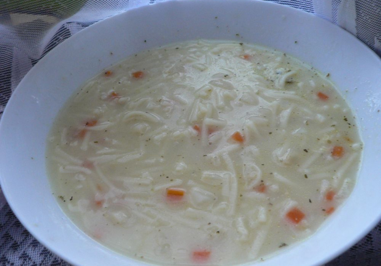Zupa jarzynowo-ziołowa z makaronem foto