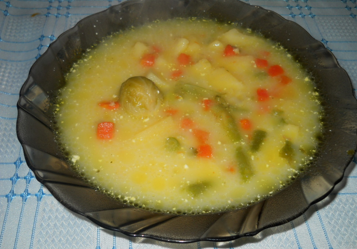 zupa Jesienna -warzywna foto