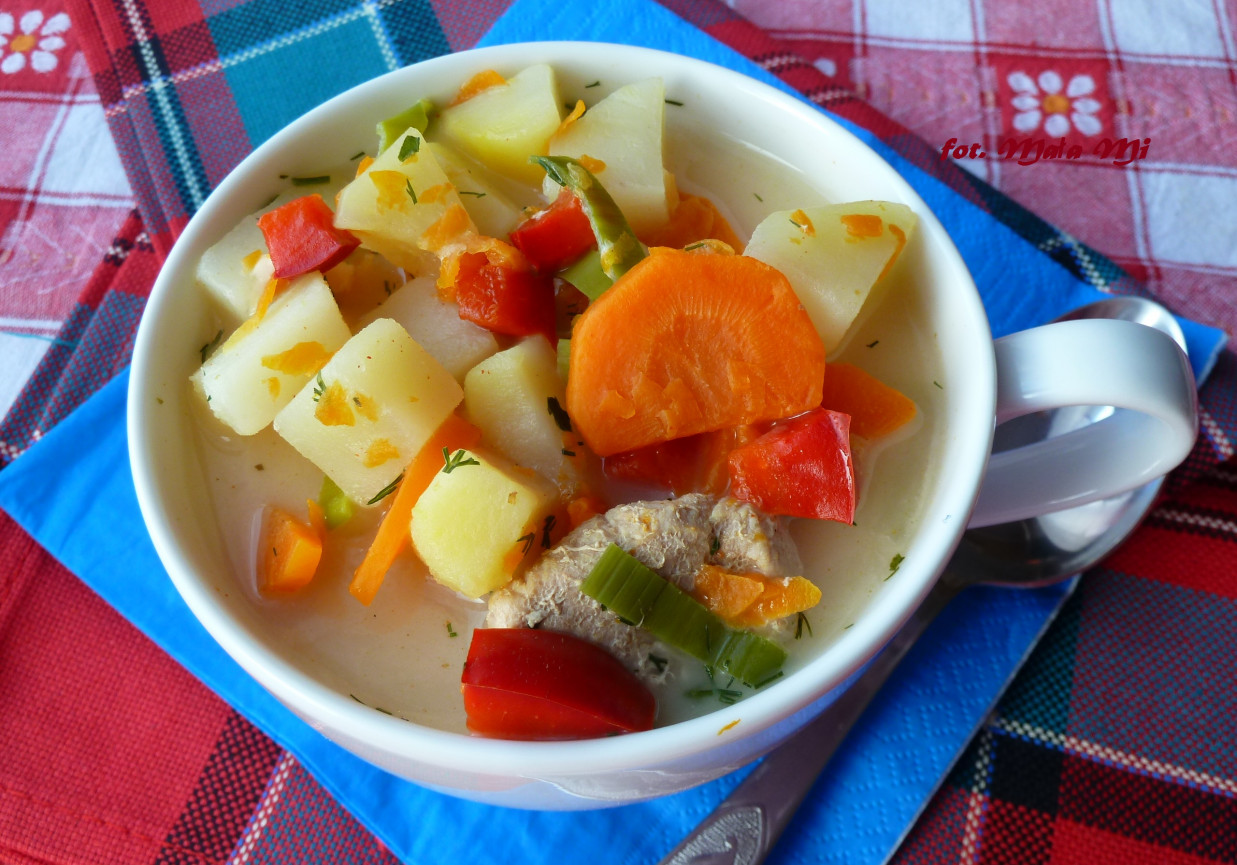 Zupa jesienna z papryką, porem i serkiem topionym foto